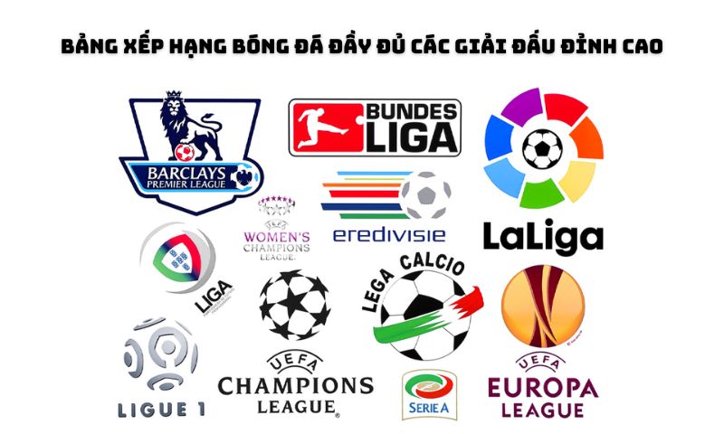 Cập nhật kết quả theo từng giải đấu